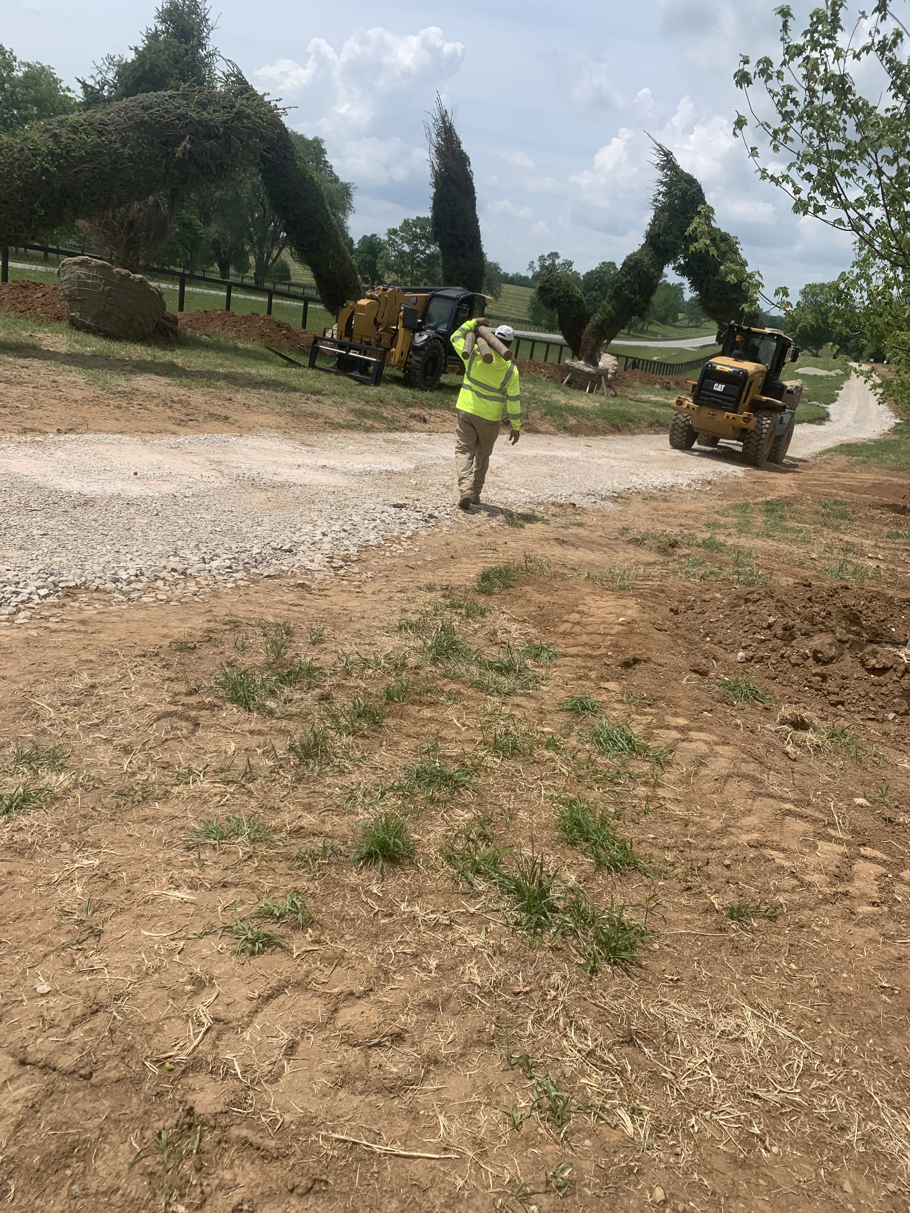 Orlando's Landscaping crew moving trees on a job site